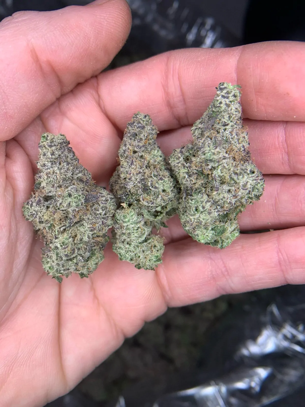 Triple Burger Flower